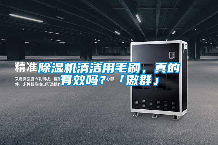 除濕機(jī)清潔用毛刷，真的有效嗎？「傲群」