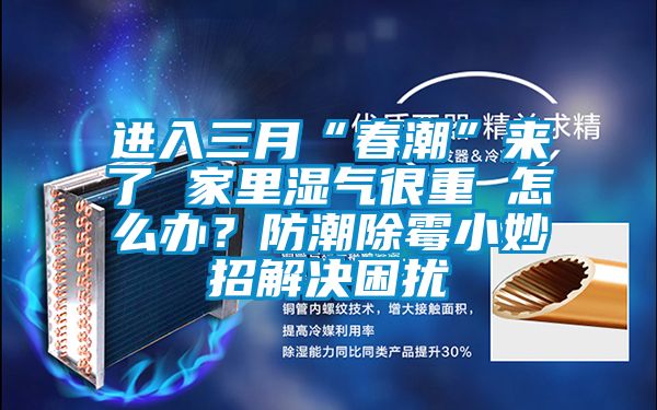 進(jìn)入三月“春潮”來了 家里濕氣很重 怎么辦？防潮除霉小妙招解決困擾