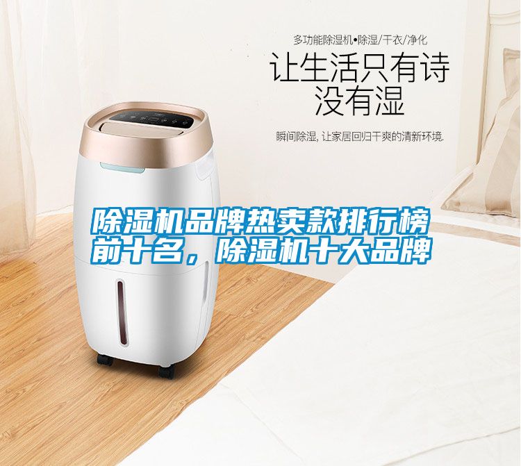 除濕機品牌熱賣款排行榜前十名，除濕機十大品牌