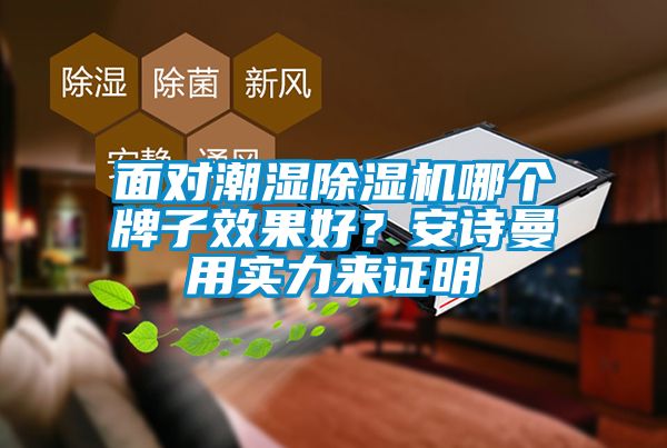 面對潮濕除濕機(jī)哪個牌子效果好？安詩曼用實(shí)力來證明