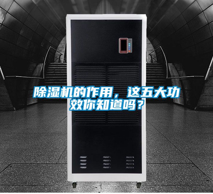 除濕機(jī)的作用，這五大功效你知道嗎？