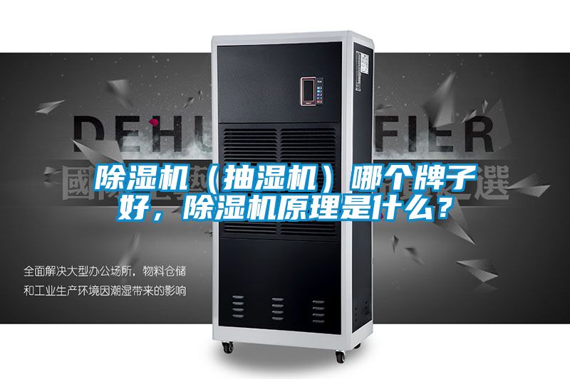 除濕機（抽濕機）哪個牌子好，除濕機原理是什么？