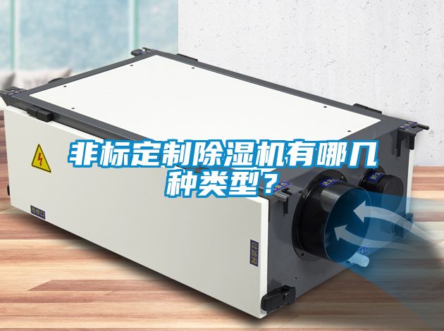 非標(biāo)定制除濕機(jī)有哪幾種類型？