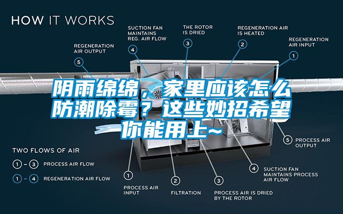 陰雨綿綿，家里應(yīng)該怎么防潮除霉？這些妙招希望你能用上~