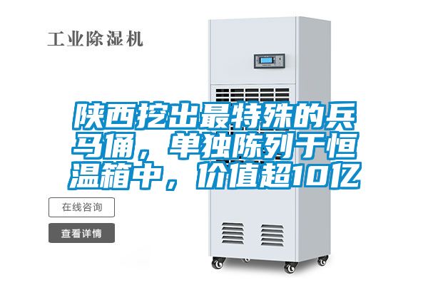 陜西挖出最特殊的兵馬俑，單獨(dú)陳列于恒溫箱中，價(jià)值超10億