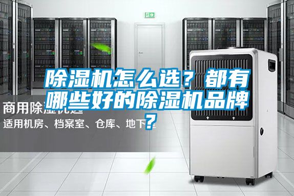 除濕機怎么選？都有哪些好的除濕機品牌？