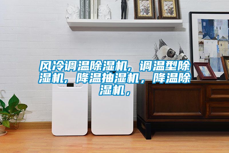 風(fēng)冷調(diào)溫除濕機(jī), 調(diào)溫型除濕機(jī), 降溫抽濕機(jī)，降溫除濕機(jī)，