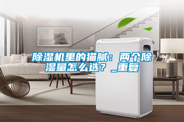 除濕機(jī)里的貓膩：兩個(gè)除濕量怎么選？_重復(fù)