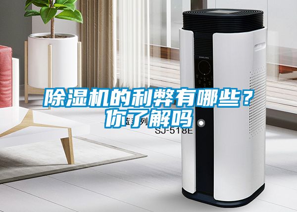 除濕機(jī)的利弊有哪些？你了解嗎