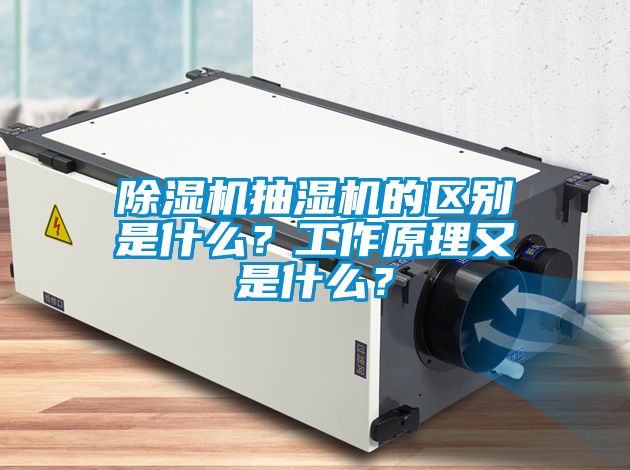 除濕機(jī)抽濕機(jī)的區(qū)別是什么？工作原理又是什么？