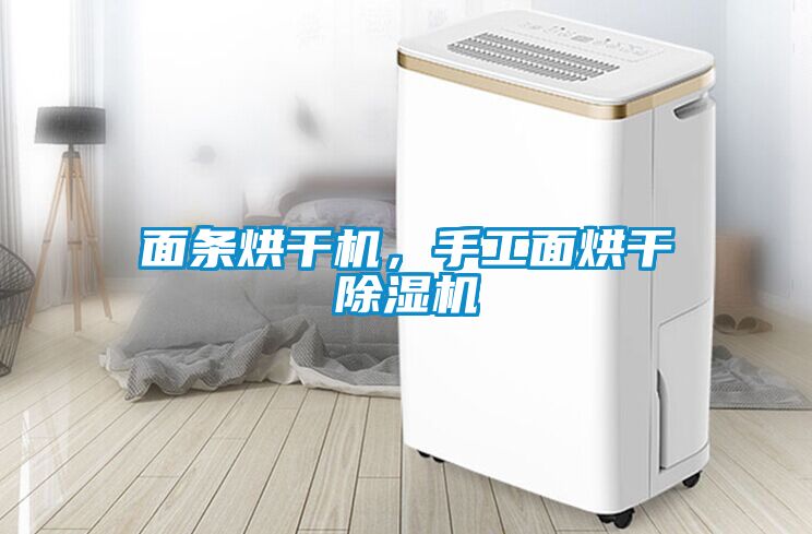 面條烘干機(jī)，手工面烘干除濕機(jī)