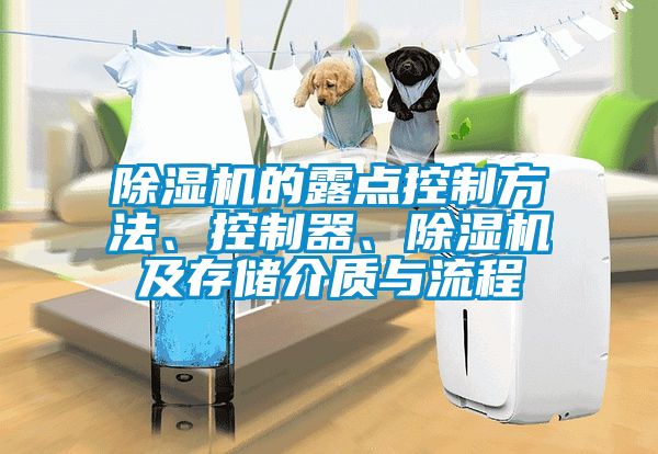 除濕機(jī)的露點(diǎn)控制方法、控制器、除濕機(jī)及存儲(chǔ)介質(zhì)與流程