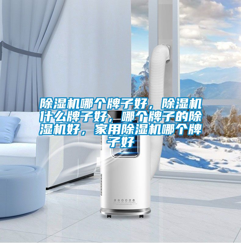 除濕機哪個牌子好，除濕機什么牌子好，哪個牌子的除濕機好，家用除濕機哪個牌子好