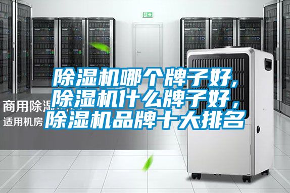 除濕機哪個牌子好,除濕機什么牌子好，除濕機品牌十大排名