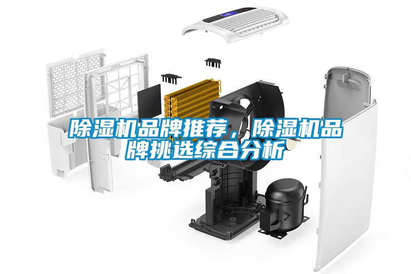 除濕機品牌推薦，除濕機品牌挑選綜合分析