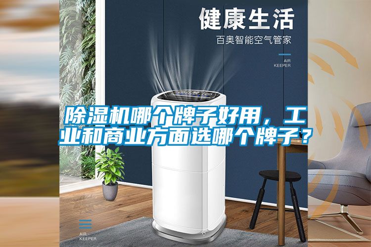 除濕機哪個牌子好用，工業(yè)和商業(yè)方面選哪個牌子？