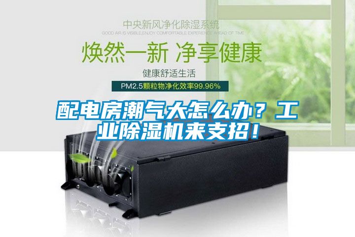 配電房潮氣大怎么辦？工業(yè)除濕機(jī)來支招！