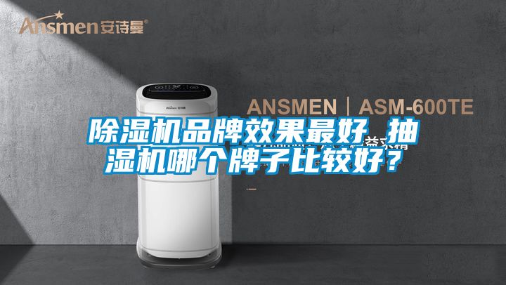 除濕機(jī)品牌效果最好 抽濕機(jī)哪個牌子比較好？