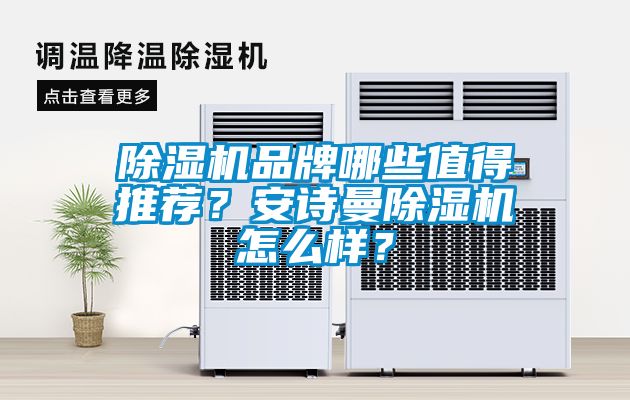 除濕機品牌哪些值得推薦？安詩曼除濕機怎么樣？