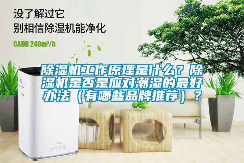 除濕機工作原理是什么？除濕機是否是應(yīng)對潮濕的最好辦法（有哪些品牌推薦）？