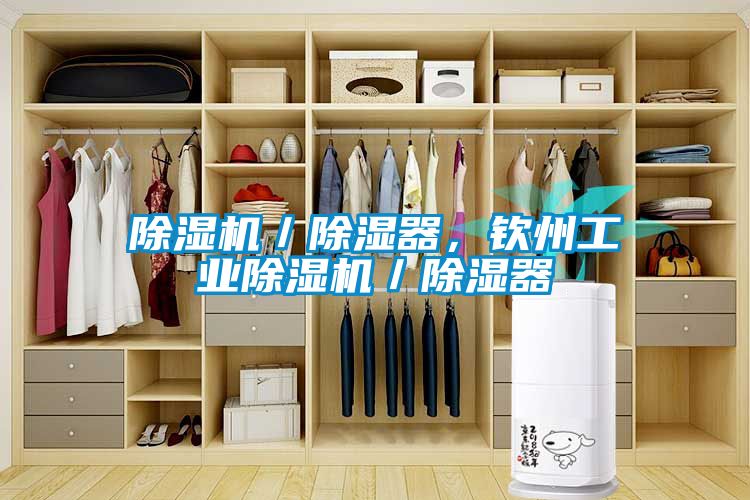 除濕機(jī)／除濕器，欽州工業(yè)除濕機(jī)／除濕器