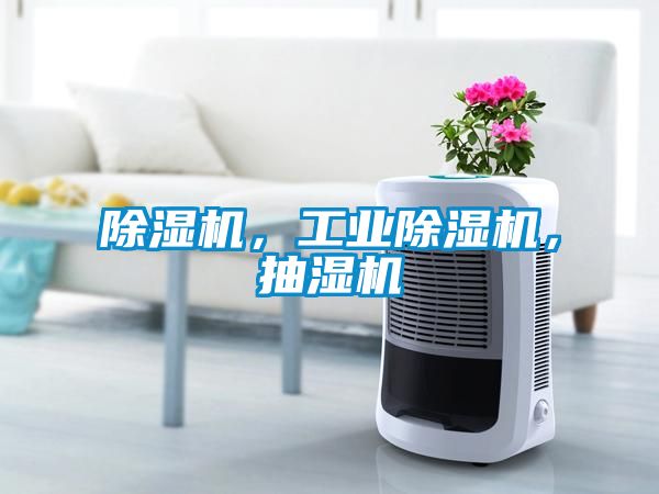 除濕機(jī)，工業(yè)除濕機(jī)，抽濕機(jī)