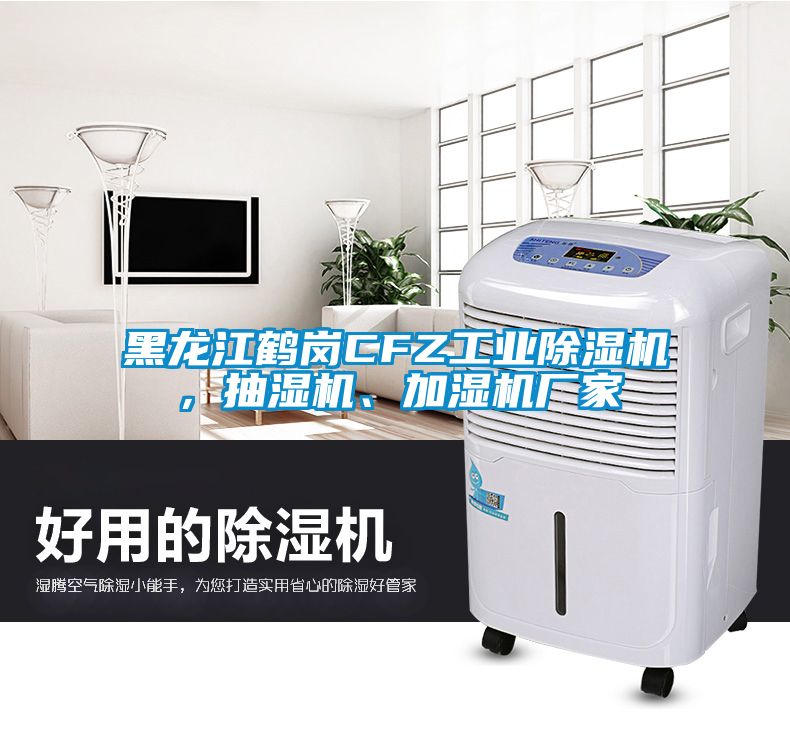 黑龍江鶴崗CFZ工業(yè)除濕機，抽濕機、加濕機廠家