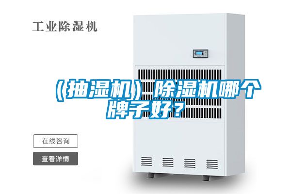 （抽濕機）除濕機哪個牌子好？