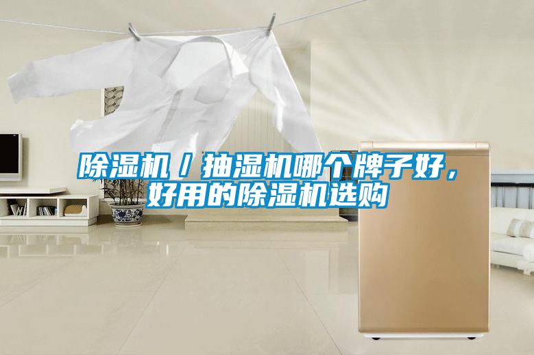 除濕機(jī)／抽濕機(jī)哪個(gè)牌子好，好用的除濕機(jī)選購(gòu)