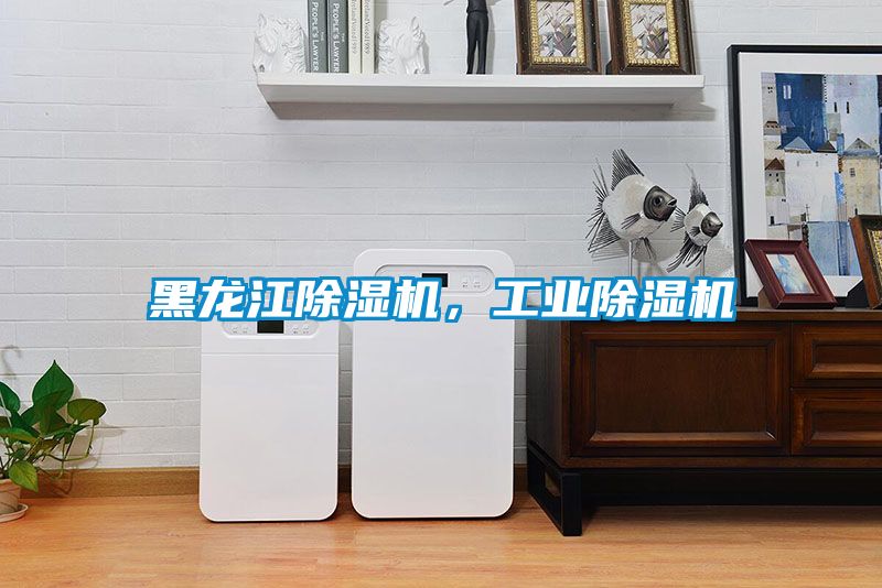 黑龍江除濕機(jī)，工業(yè)除濕機(jī)