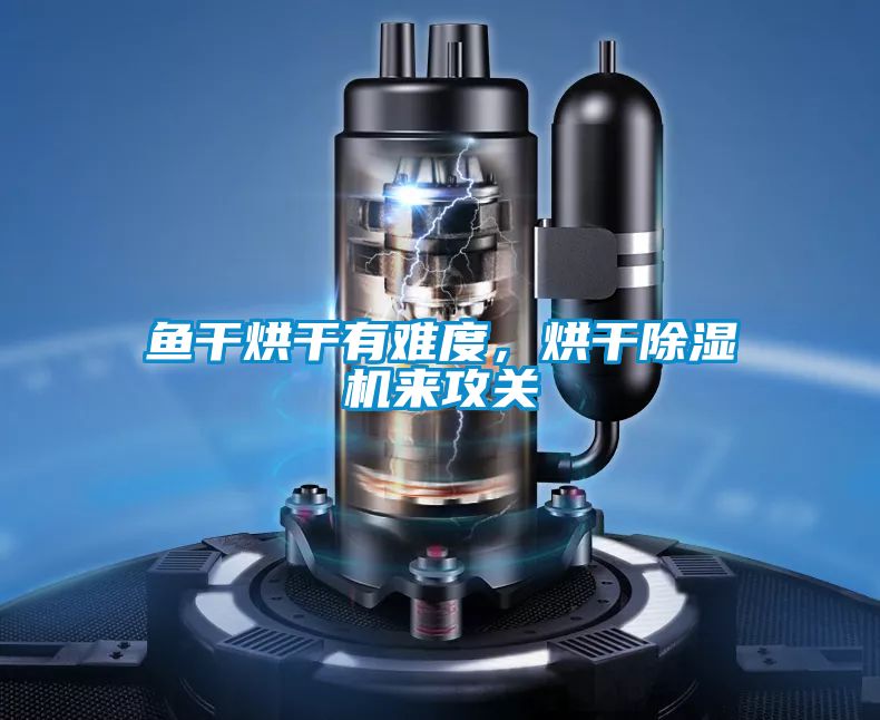 魚干烘干有難度，烘干除濕機來攻關(guān)