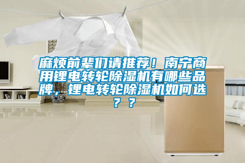 麻煩前輩們請(qǐng)推薦！南寧商用鋰電轉(zhuǎn)輪除濕機(jī)有哪些品牌，鋰電轉(zhuǎn)輪除濕機(jī)如何選？？