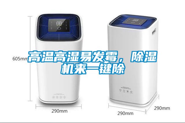 高溫高濕易發(fā)霉，除濕機來一鍵除