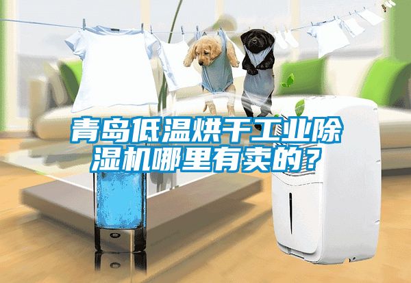 青島低溫烘干工業(yè)除濕機(jī)哪里有賣的？