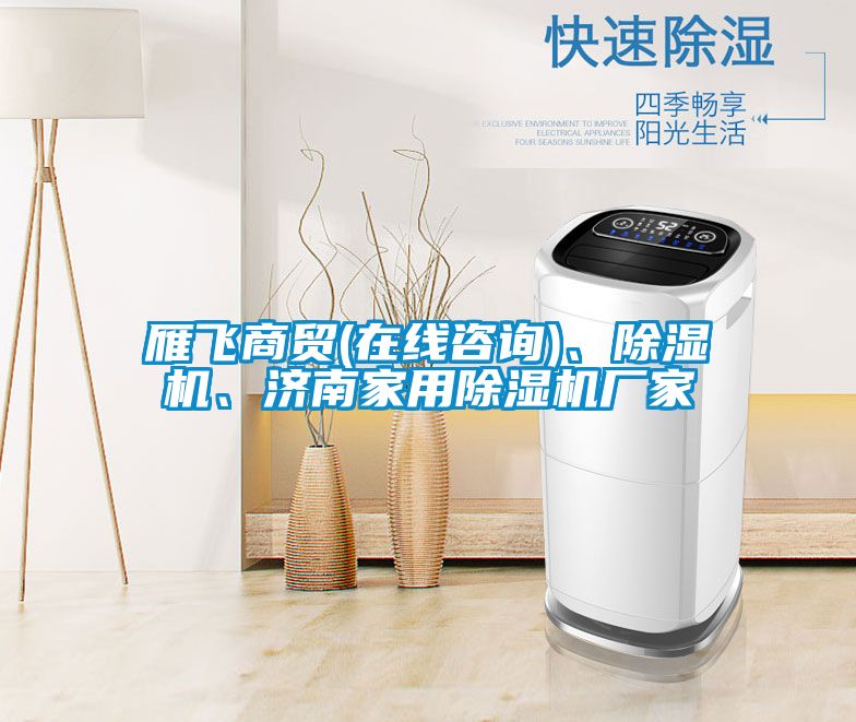 雁飛商貿(mào)(在線咨詢)、除濕機(jī)、濟(jì)南家用除濕機(jī)廠家