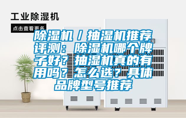 除濕機(jī)／抽濕機(jī)推薦評(píng)測(cè)：除濕機(jī)哪個(gè)牌子好？抽濕機(jī)真的有用嗎？怎么選？具體品牌型號(hào)推薦