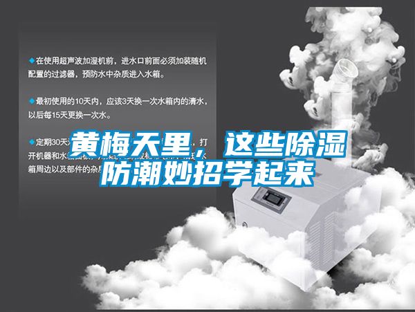 黃梅天里，這些除濕防潮妙招學起來