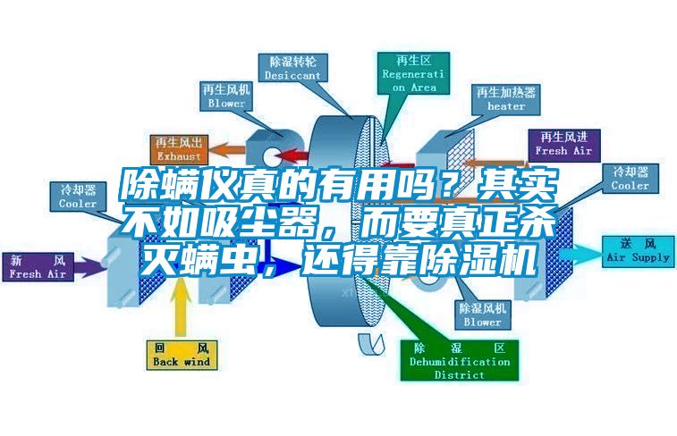 除螨儀真的有用嗎？其實(shí)不如吸塵器，而要真正殺滅螨蟲，還得靠除濕機(jī)